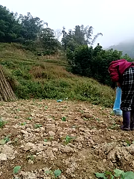 Snapshot of omai-ngot chatting on December 4, 2025, 2:21 am omai-ngot online show from December 4, 2025, 2:21 am