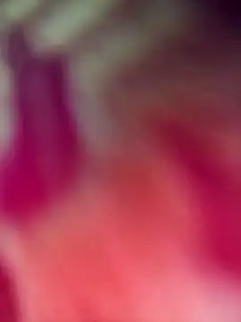 Ratri-Biswas online show from February 15, 2026, 11:53 am