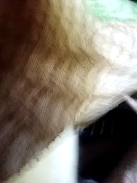 Snapshot of Soumyajit129ommk chatting on November 11, 2025, 3:01 am Soumyajit129ommk online show from November 11, 2025, 3:01 am