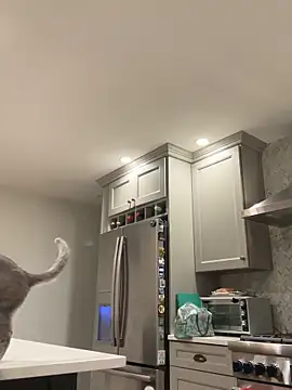 Snapshot of 1totangox chatting on November 30, 2025, 12:22 am 1totangox online show from November 30, 2025, 12:22 am