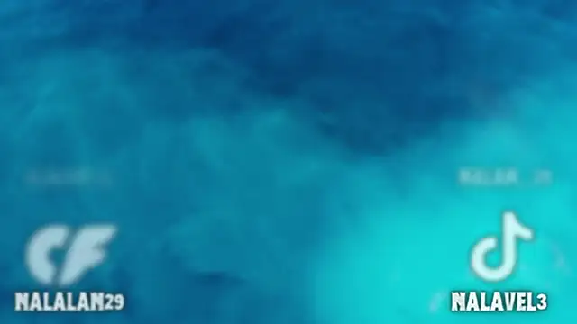 Nalan   online show from November 29, 2025, 6:02 am