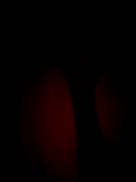 SlattedEndive online show from March 8, 2026, 6:49 am