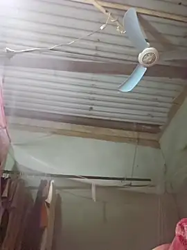 Squirrel-Pear online show from November 19, 2025, 2:39 pm