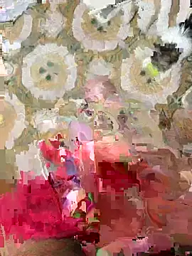 Anaconda Negra20 online show from January 10, 2026, 9:37 am