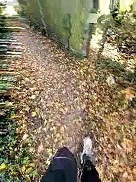 bbyxklaus online show from November 2, 2025, 12:21 pm