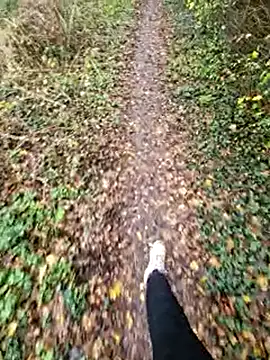 bbyxklaus online show from November 15, 2025, 11:25 am