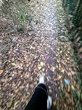 bbyxklaus online show from November 6, 2025, 12:31 pm