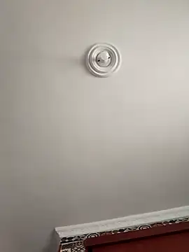 sophiasleepy1 online show from November 14, 2025, 7:28 pm