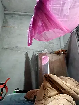 Bear bear0 online show from December 22, 2025, 1:28 am