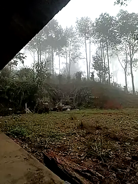 Snapshot of sowbibi chatting on December 15, 2025, 2:17 am sowbibi online show from December 15, 2025, 2:17 am