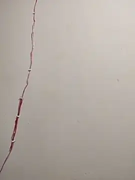 Snapshot of cutepussy356 chatting on December 5, 2025, 11:09 am cutepussy356 online show from December 5, 2025, 11:09 am