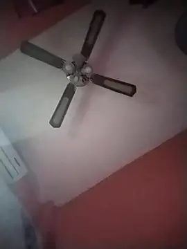 Snapshot of Danii2005 chatting on November 12, 2025, 6:56 pm Danii2005 online show from November 12, 2025, 6:56 pm