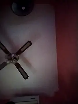 Snapshot of Danii2005 chatting on November 4, 2025, 12:20 pm Danii2005 online show from November 4, 2025, 12:20 pm