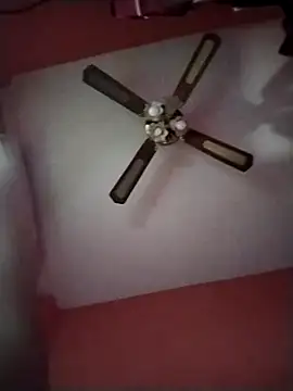 Snapshot of Danii2005 chatting on December 4, 2025, 1:54 pm Danii2005 online show from December 4, 2025, 1:54 pm