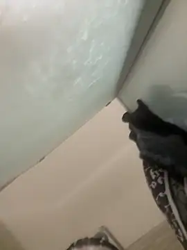 gatitalocahot online show from April 13, 2026, 7:18 pm