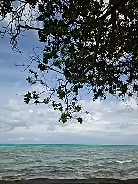 Snapshot of Trissa_Benson chatting on October 31, 2025, 6:04 pm Trissa Benson online show from October 31, 2025, 6:04 pm