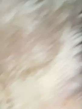 Snapshot of Irin_jo chatting on February 2, 2026, 12:42 am Irin jo online show from February 2, 2026, 12:42 am