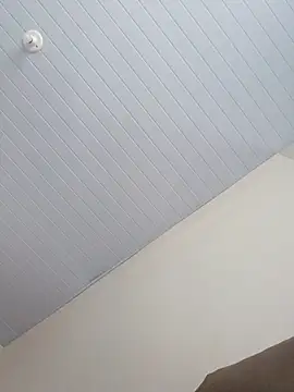 Snapshot of Morenodotado0 chatting on February 24, 2026, 3:35 pm Morenodotado0 online show from February 24, 2026, 3:35 pm