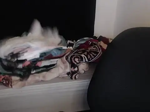 Negritatata online show from November 28, 2025, 11:10 am