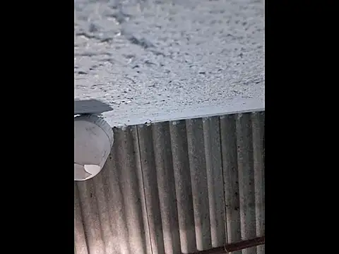 666Daemon666 online show from April 10, 2026, 8:10 am