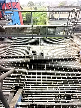 gorai55555 online show from October 26, 2025, 7:09 am