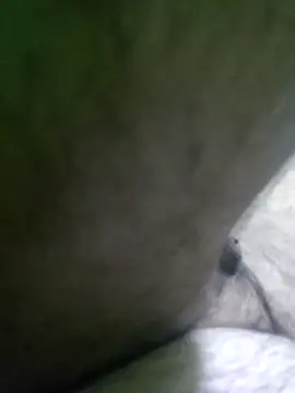 Morbosnif online show from December 21, 2025, 3:57 pm