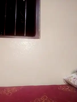 Snapshot of Majoudabar chatting on November 6, 2025, 11:47 am Majoudabar online show from November 6, 2025, 11:47 am