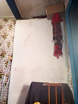 NikaGold454 online show from November 5, 2025, 12:19 pm