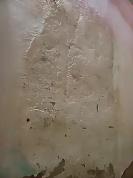 Snapshot of Jorgebenitez_1 chatting on October 27, 2025, 9:05 pm Jorgebenitez 1 online show from October 27, 2025, 9:05 pm