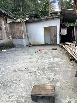 nachi-baby online show from December 15, 2025, 8:42 am