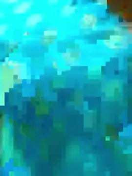 vedha4112telugu online show from April 18, 2026, 11:56 am