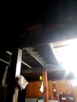 TRIEUTRIEU20 online show from March 22, 2026, 10:44 pm