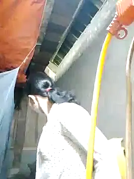 TRIEUTRIEU20 online show from October 28, 2025, 1:39 am