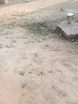 Snapshot of Babita_ranni chatting on November 11, 2025, 1:50 pm Babita ranni online show from November 11, 2025, 1:50 pm