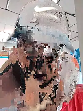 LAPOTRA 04 online show from April 1, 2026, 4:15 pm