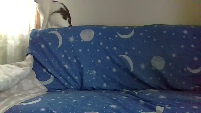 Snapshot of 4clarissa chatting on October 31, 2025, 7:27 am 4clarissa online show from October 31, 2025, 7:27 am