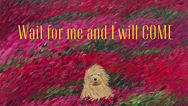 girl u never met online show from May 22, 2026, 5:11 pm