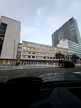 EchoVibe 86 online show from January 7, 2026, 3:17 pm