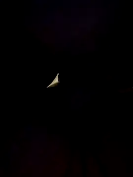 Cubanno online show from November 1, 2025, 5:57 am