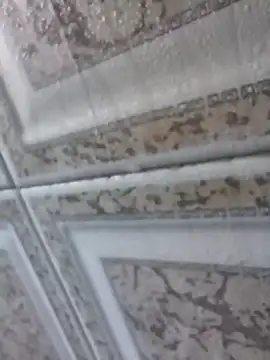 Snapshot of 3zekie1 chatting on October 28, 2025, 2:16 pm 3zekie1 online show from October 28, 2025, 2:16 pm