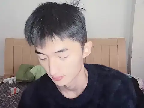 Snapshot of N228 chatting on November 12, 2025, 8:07 am N228 online show from November 12, 2025, 8:07 am