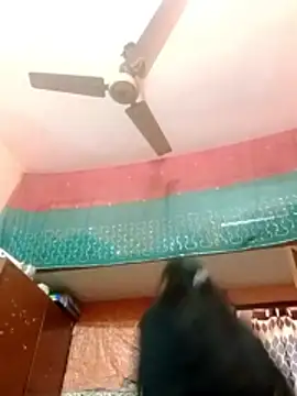 Snapshot of -Rani__ chatting on December 16, 2025, 12:31 pm -Rani online show from December 16, 2025, 12:31 pm