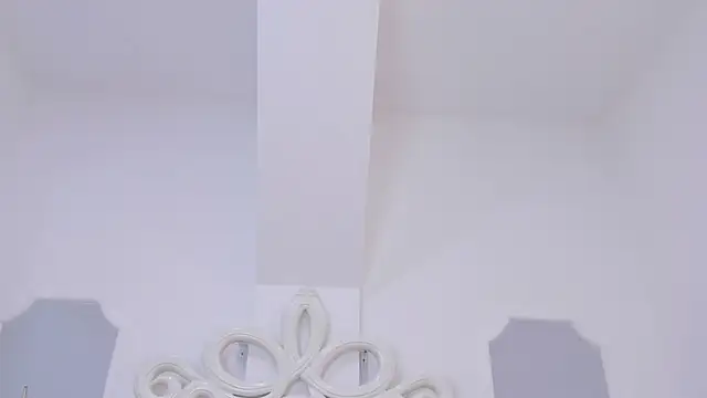 roxana scott1 online show from April 24, 2026, 3:41 am