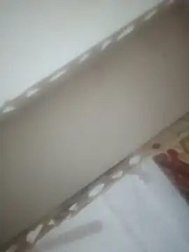 Pallu Asha online show from March 22, 2026, 1:09 am