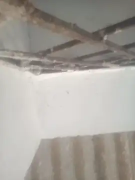 Pallu Asha online show from April 28, 2026, 12:53 am