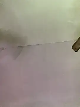 Belka14 online show from November 23, 2025, 6:45 am