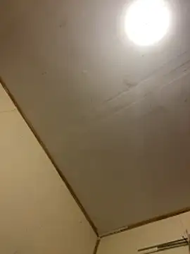 gatitaamelosa online show from April 25, 2026, 11:02 am