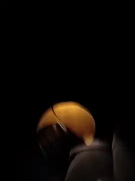 DK 9396 online show from February 21, 2026, 6:43 pm