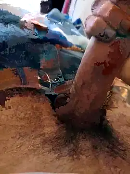 Snapshot of Realverse chatting on November 12, 2025, 2:43 pm Realverse online show from November 12, 2025, 2:43 pm