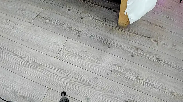 kendra london online show from February 24, 2026, 11:22 am